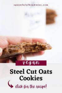 Vegan Steel Cut Oats Cookies