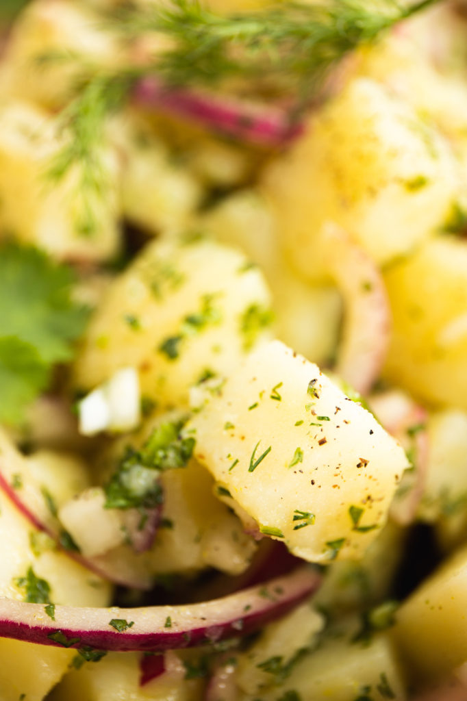 French Potato Salad VGF S