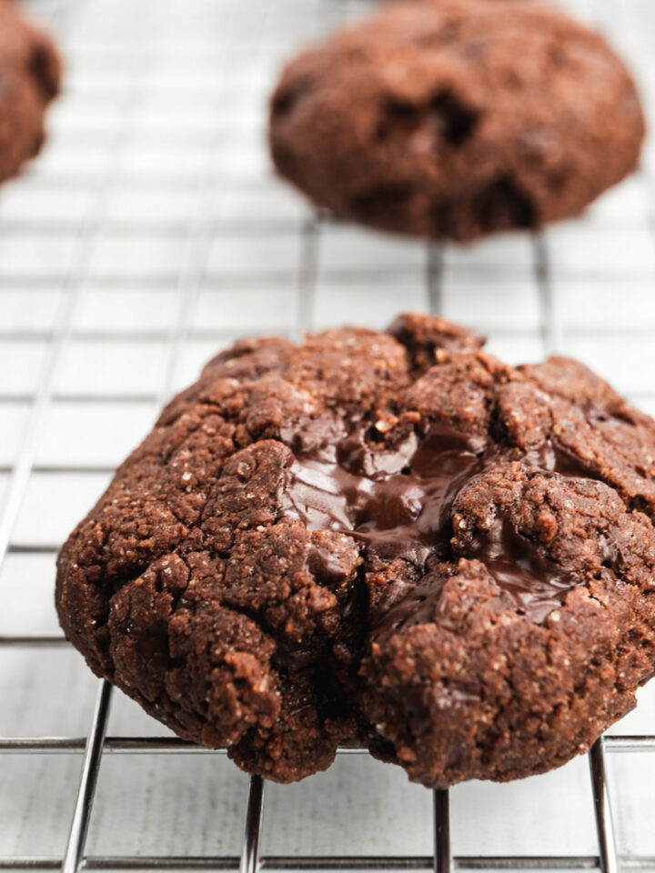 Chickpea Flour Chocolate Cookies [V+GF]