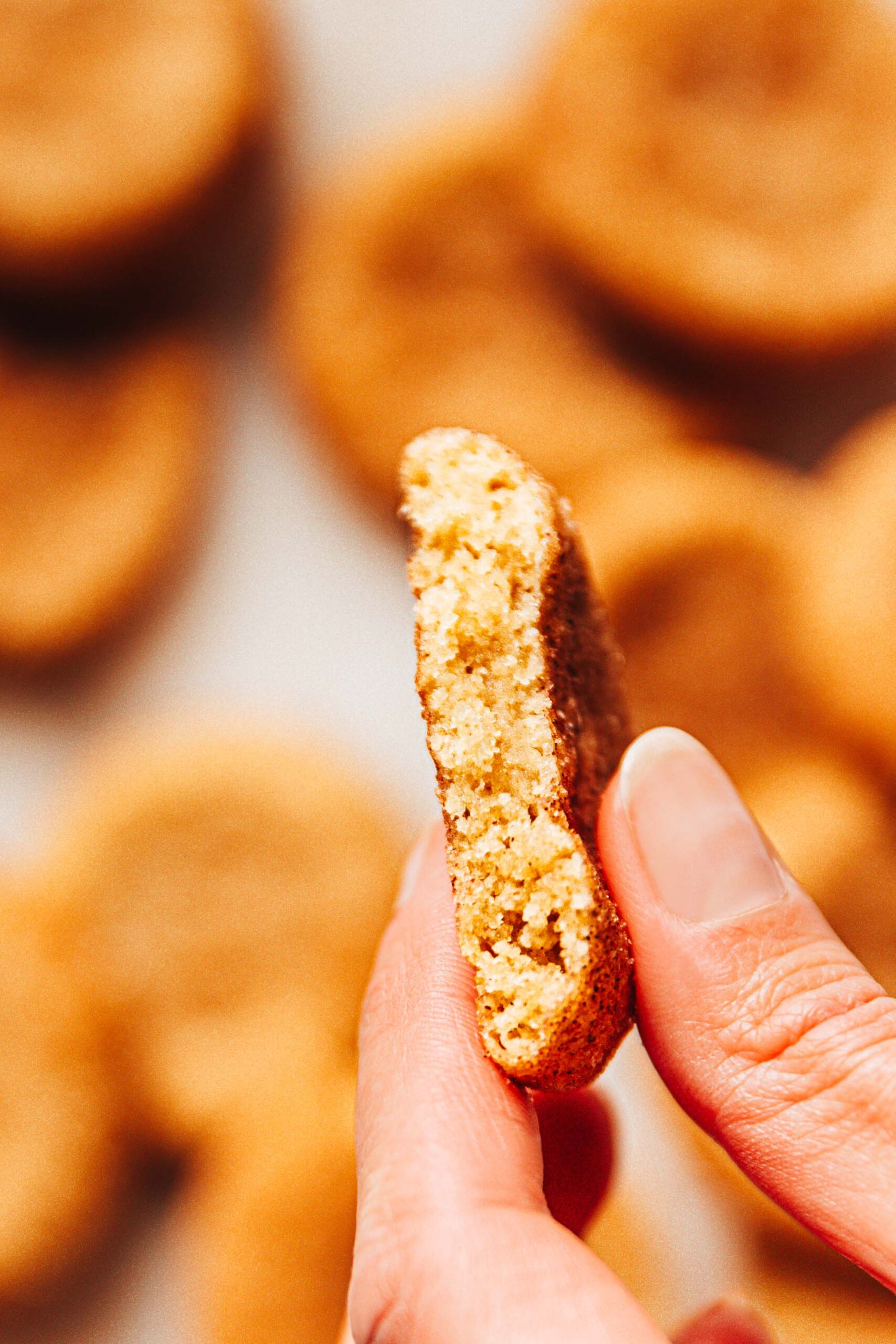 Vegan Snickerdoodles