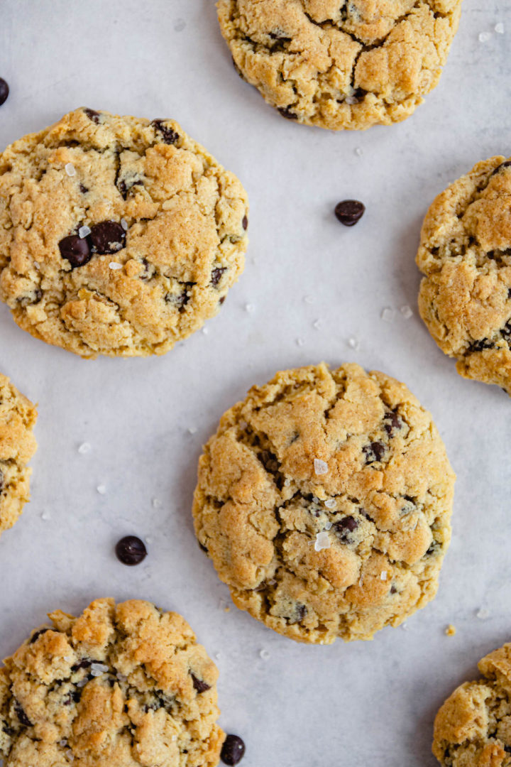 Vegan Peanut Butter Oatmeal Cookies Spoonful Of Kindness   Vegan Peanut Butter Chocolate Chip Cookies 3 720x1080 